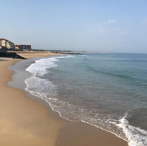 Atlantic Selection - Le 48 Lejlighed Capbreton